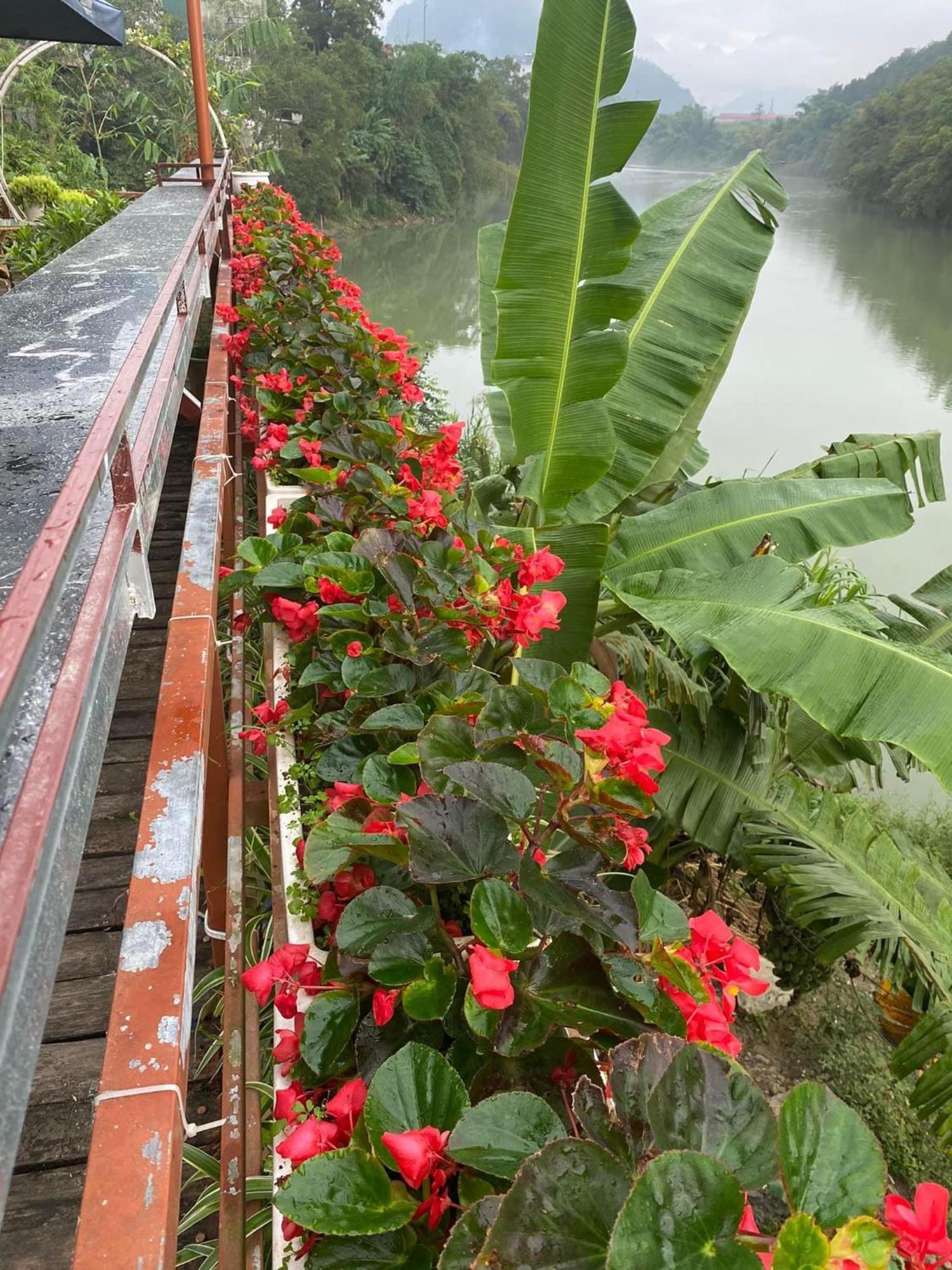 Garden Villa Homestay And Tour Motorbike&Car For Rent Ha Giang Eksteriør bilde